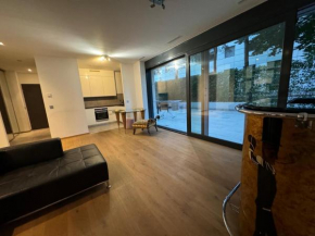 Modern apartment with a terrace Geneva